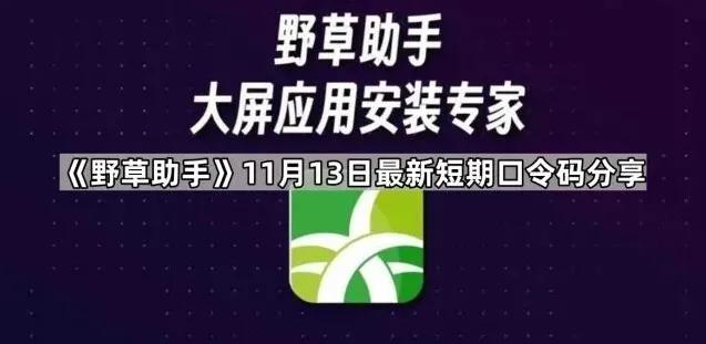 最新短期口令码分享操作详解：《TA》