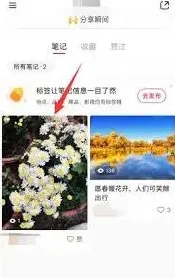 《小红书》如何删除发布的作品实用指南