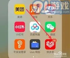 拼多多指南