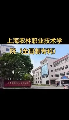 上海市