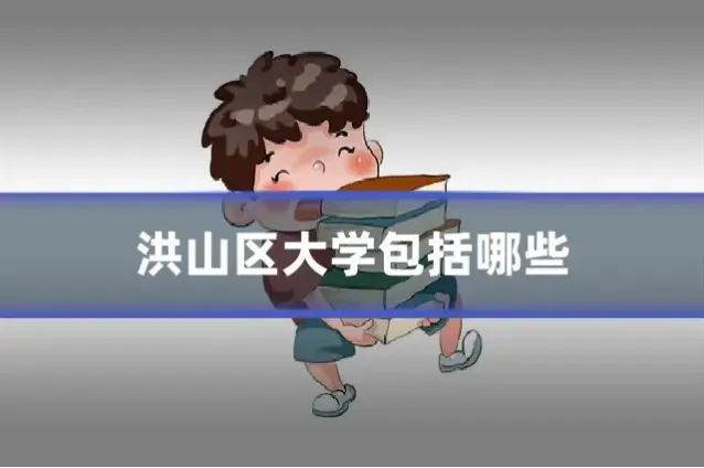 洪山区大学包括哪些