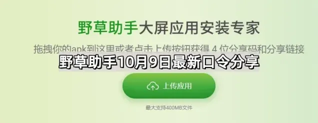 野草助手快速口令分享教程