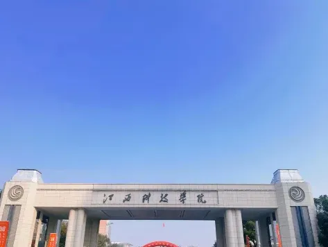 实验