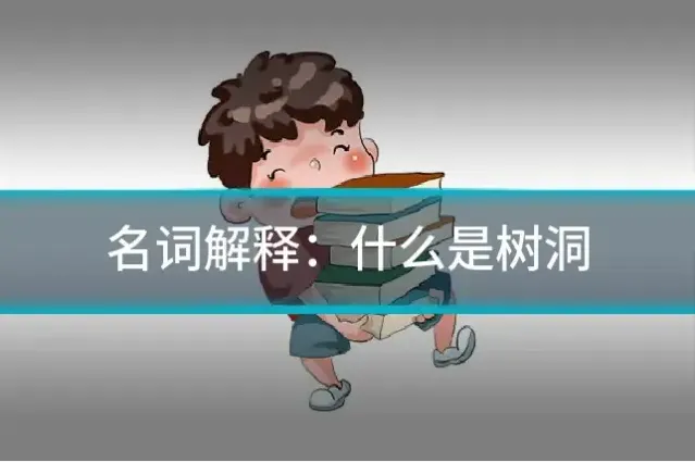 名词解释：什么是树洞