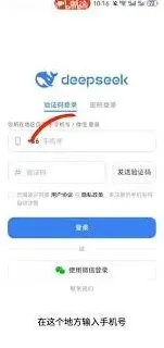 手机上安装DeepSeek应用教程详解
