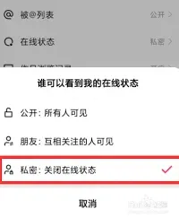 快手不让对方知道自己在线设置教程