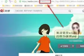 微博其他用户