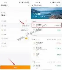随手记账目