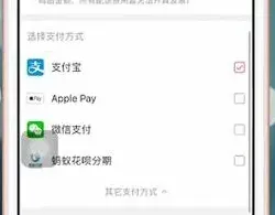 大麦app支付方式对比介绍