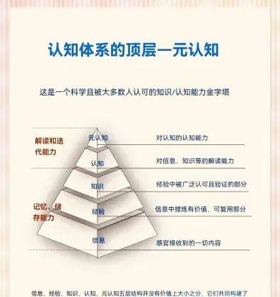 策略