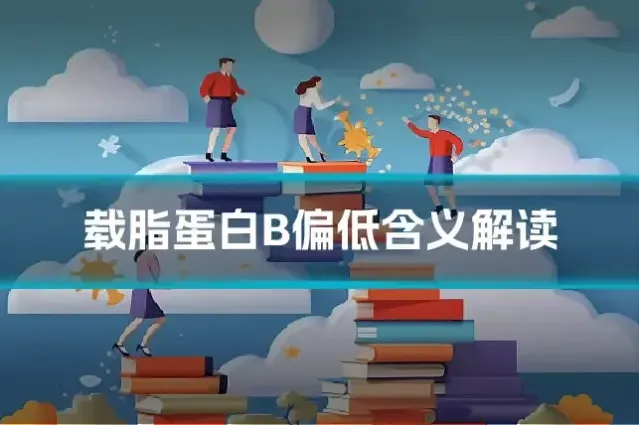 载脂蛋白B偏低含义解读