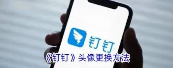 钉钉头像