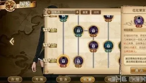 航海王图解