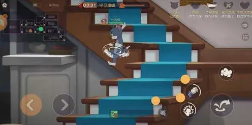 猫和老鼠知识