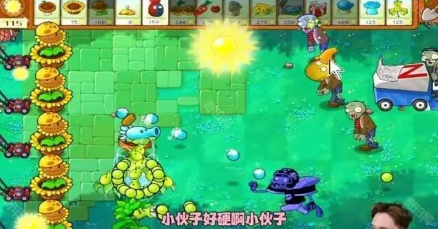 植物大战僵尸通关