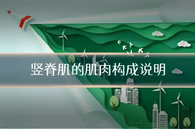 竖脊肌的肌肉构成说明