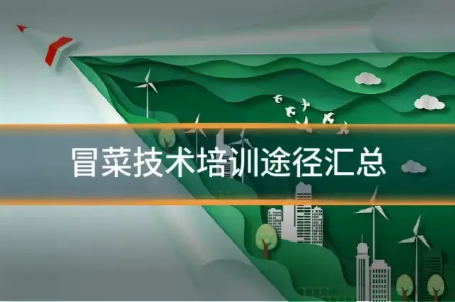 冒菜技术培训途径汇总