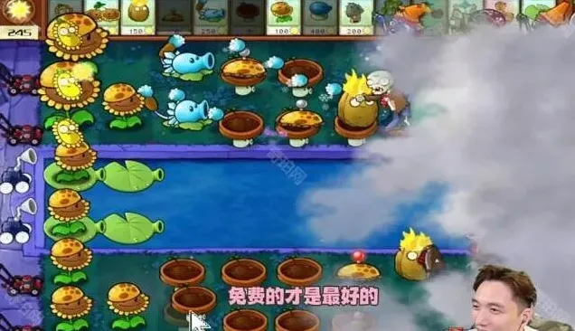 植物大战僵尸通关