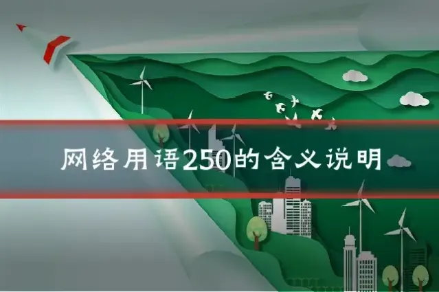 网络用语250的含义说明