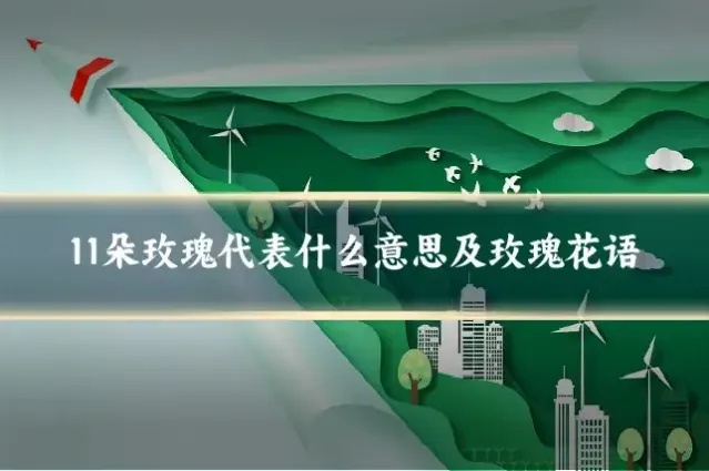 11朵玫瑰代表什么意思及玫瑰花语
