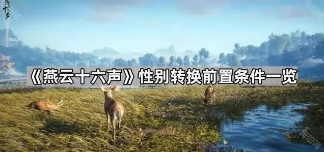 燕云十六声性别转换