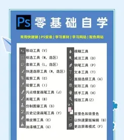 学习