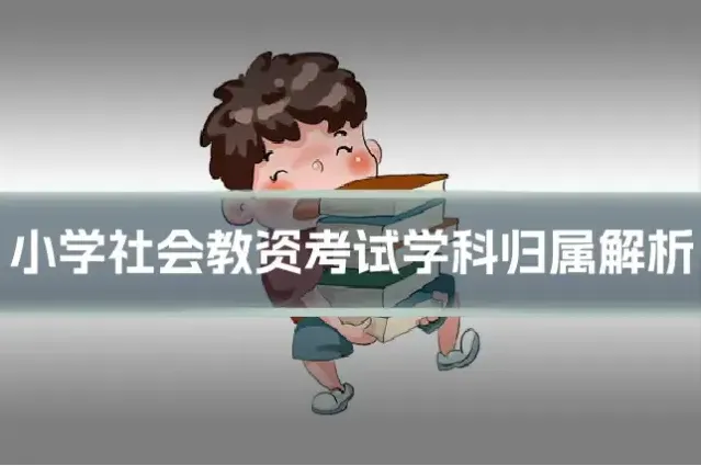 小学社会教资考试学科归属解析