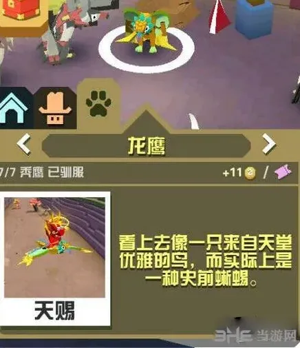 疯狂动物园龙鹰