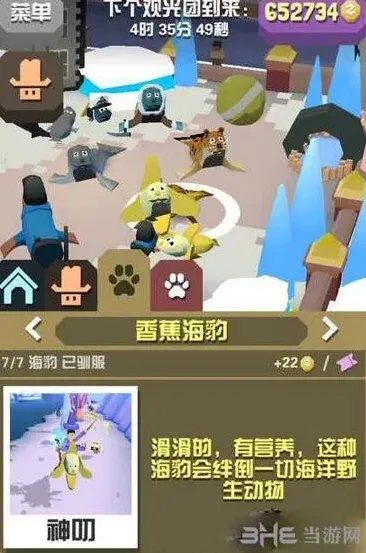 疯狂动物园海豹