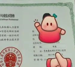 专业领域