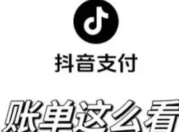 抖音商城消费总金额查询步骤