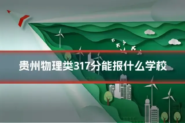 贵州物理类317分能报什么学校