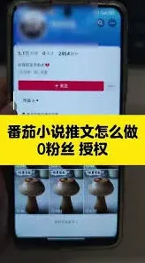 番茄小说作品提交教程