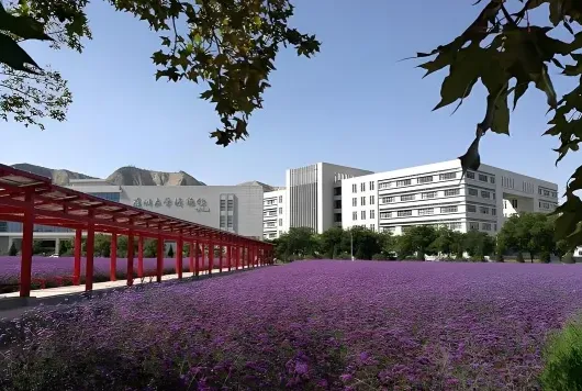计划