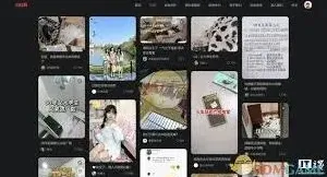 小红书网页版登录方法指南
