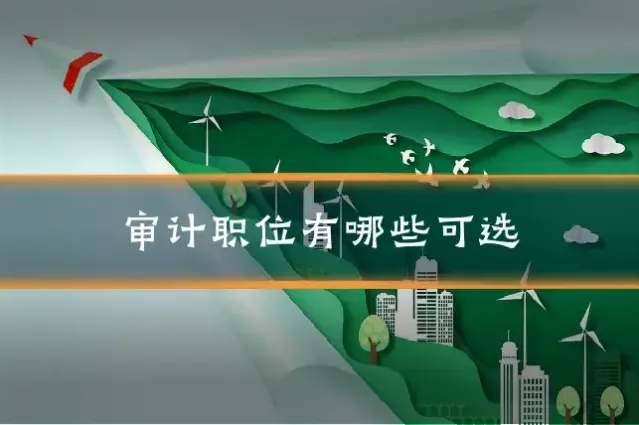 审计职位有哪些可选