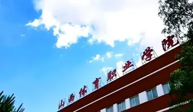 体育