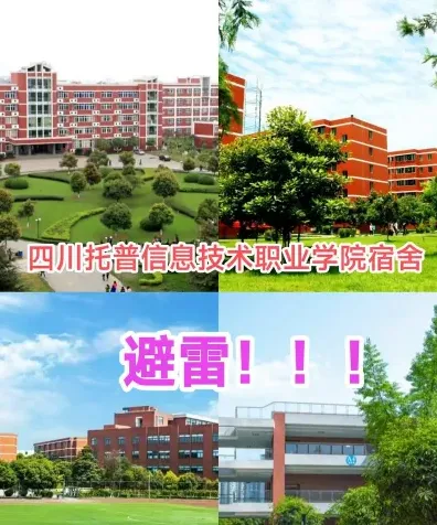 实训