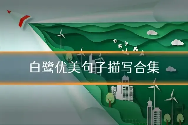 白鹭优美句子描写合集