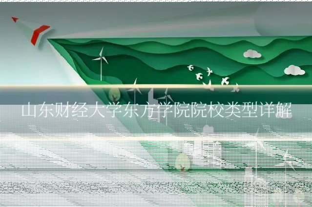 山东财经大学东方学院院校类型详解