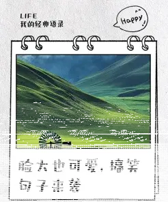 脸大