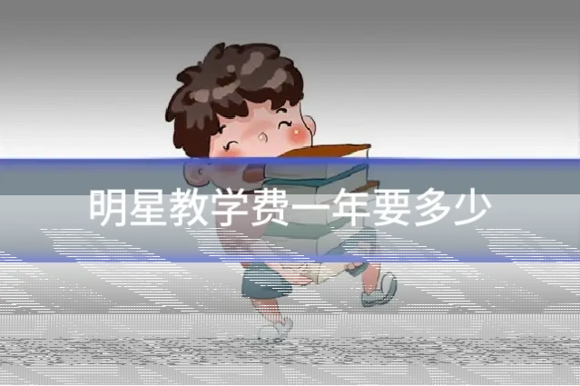 明星教学费一年要多少