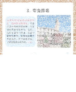 文学专业