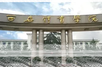 中心