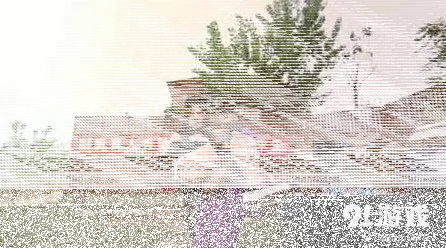 荒野求生剑与魔法