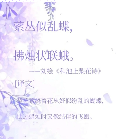 中家