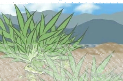 旅行青蛙道具一次性问题详细指南