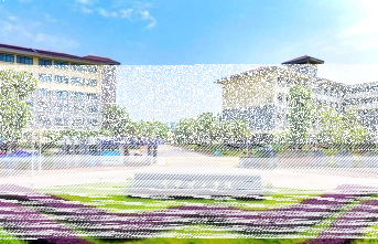 专任教师