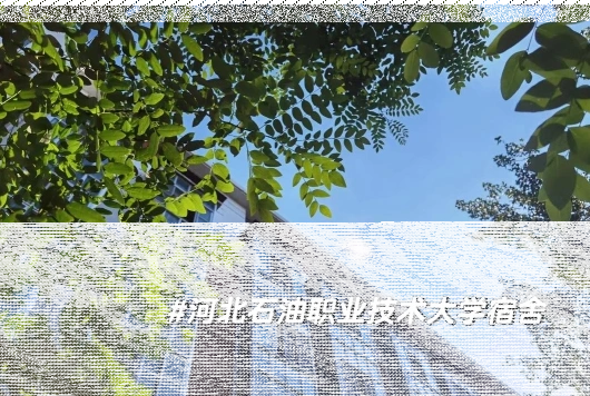 河北工业大学