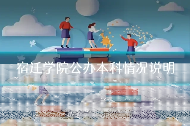宿迁学院公办本科情况说明